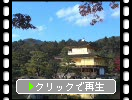 京都「金閣寺」の「金閣（舎利殿）」遠景