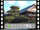 京都「金閣寺」の「陸舟の松」と周辺