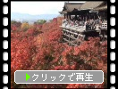 京都・清水寺の「舞台」と秋景色