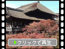 京都・清水寺の「本堂と舞台」