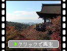 京都・清水寺の「本堂舞台と秋模様」