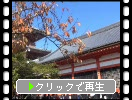 京都・清水寺の「経堂」と周辺の秋