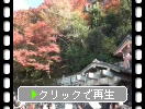秋の京都・清水寺「音羽の瀧」