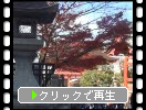 秋の京都・清水寺「仁王門」と「鐘楼」