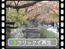 秋の京都「哲学の道」風情