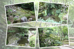 夏緑の京都・銀閣寺「洗月泉・お茶の井・石庭」