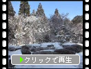 雪の湖東・西明寺名勝庭園「蓬莱庭」