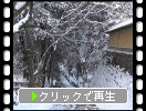 湖東・西明寺「雪の参道と土塀」