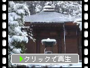 雪の湖東・金剛輪寺「地蔵堂と地蔵」