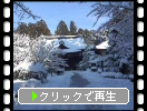 雪の湖東・金剛輪寺「明寿院と庭園」