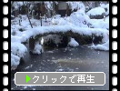 雪の湖東・金剛輪寺「明寿院庭園の石組みと氷結の池」