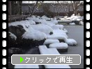 湖東・百済寺「雪の喜見院庭園」