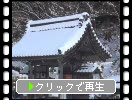 積雪の湖東・百済寺「本坊の建物」