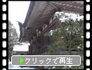湖東・百済寺「雪の本堂と菩提樹」