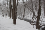 雪景色の奥入瀬渓流