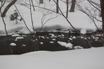 積雪の奥入瀬渓流「穏やかな流れと岩の雪」