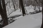 積雪の奥入瀬渓流