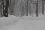 冬の奥入瀬渓流「積雪の車道」