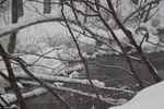 冬の奥入瀬渓流「積雪の枝と渓流