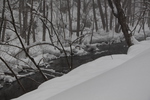 冬の奥入瀬渓流「積雪の枝と渓流
