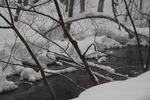 積雪の奥入瀬渓流