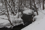 雪の奥入瀬渓流と森