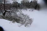 積雪の弘前城「濠と冬木立」