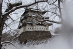 積雪の弘前城「枝越しの天守閣」