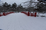 積雪の弘前城「杉の大橋」全景