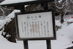 積雪の弘前城「杉の大橋」説明版