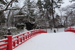 積雪の弘前城「杉の大橋と南内門」