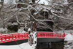 積雪の「杉の大橋」と「南内門」