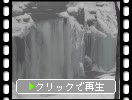 積雪の奥入瀬渓流「銚子大滝」