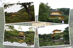 緑葉期の京都・金閣寺「舎利殿（金閣）」遠景