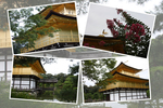 緑葉期の京都・金閣寺「舎利殿（金閣）」近景