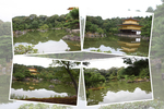 緑葉期の京都・金閣寺「鏡湖池」遠景