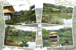 緑葉期の京都・金閣寺「鏡湖池と金閣」
