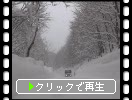 雪の道とブナの樹氷