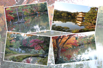 紅葉期の京都・金閣寺「鏡湖池」