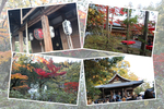 紅葉期の京都・金閣寺「不動堂と周辺風情」