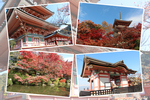 紅葉期の京都・清水寺「三重塔、鐘楼、西門、経堂、放生池など」