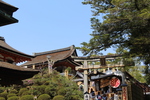 春の京都・清水寺「地主神社の鳥居」