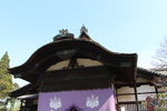 春の京都・醍醐寺「三宝院・大玄関」