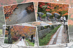 秋・紅葉の京都「哲学の道」