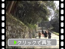 春の彦根城「石垣と植物たち」