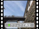 春の彦根城「天秤櫓と天秤橋」