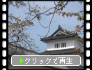 春の彦根城「二の丸三重櫓」