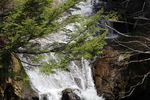 春の「竜頭の滝」