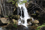春の「竜頭の滝」の「滝壺付近」