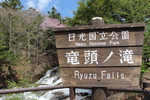 春の「竜頭ノ滝」標識